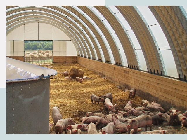 Строительство свинарников в Москве